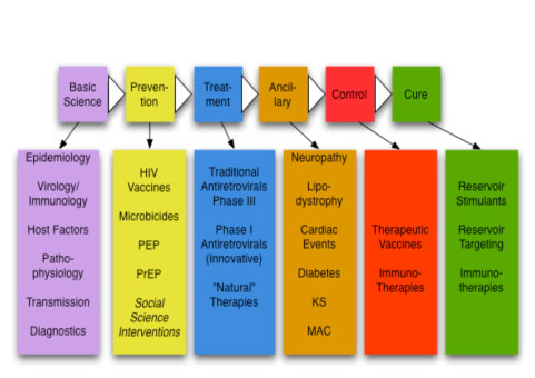 Domains of HIV science